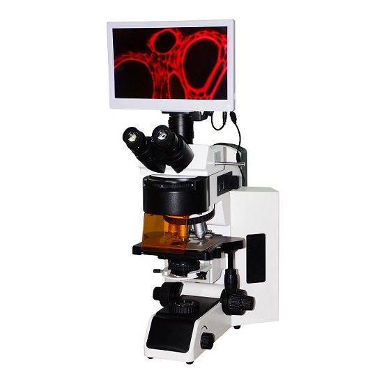 五波段LED荧光显微镜